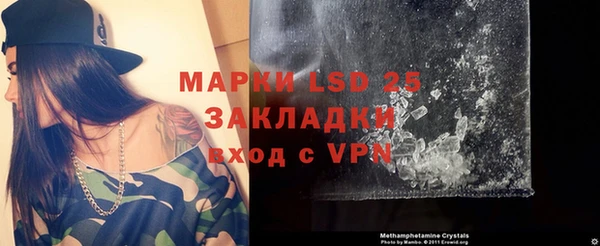 ГАЛЛЮЦИНОГЕННЫЕ ГРИБЫ Михайлов